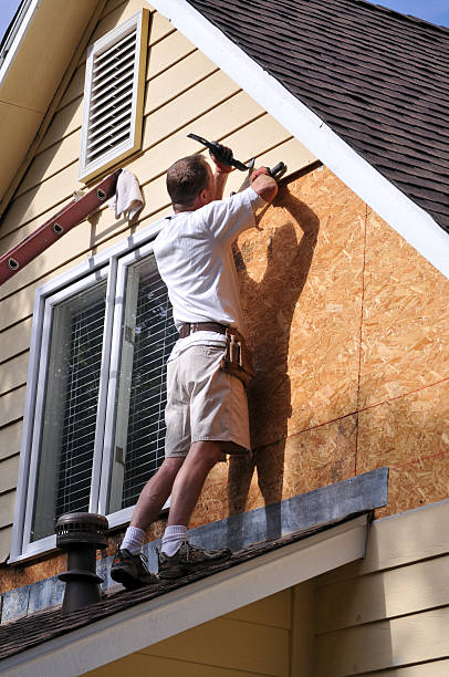 Best Fascia and Soffit Installation  in USA